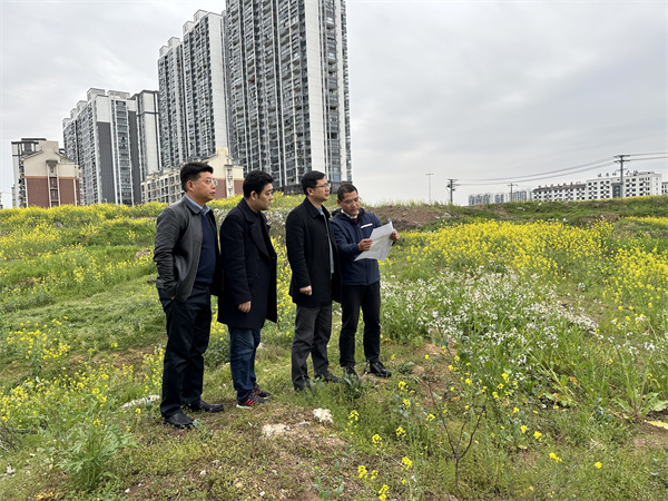 3月29日，張總陪同汪盛縣長調度揚之學校征地.jpg